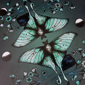 Luna Moth - Giclée Art Print - Print is Dead