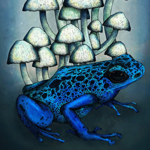 Frog and Mushrooms - Giclée Art Print - Print is Dead