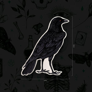 Black Crow - Vinyl Sticker - Print is Dead