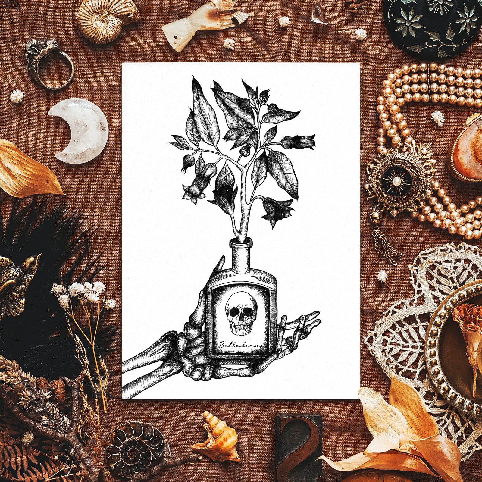 Belladonna - Giclée Art Print