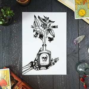 Belladonna - Standard Art Print