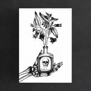 Belladonna - Standard Art Print