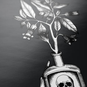 Belladonna - Giclée Art Print