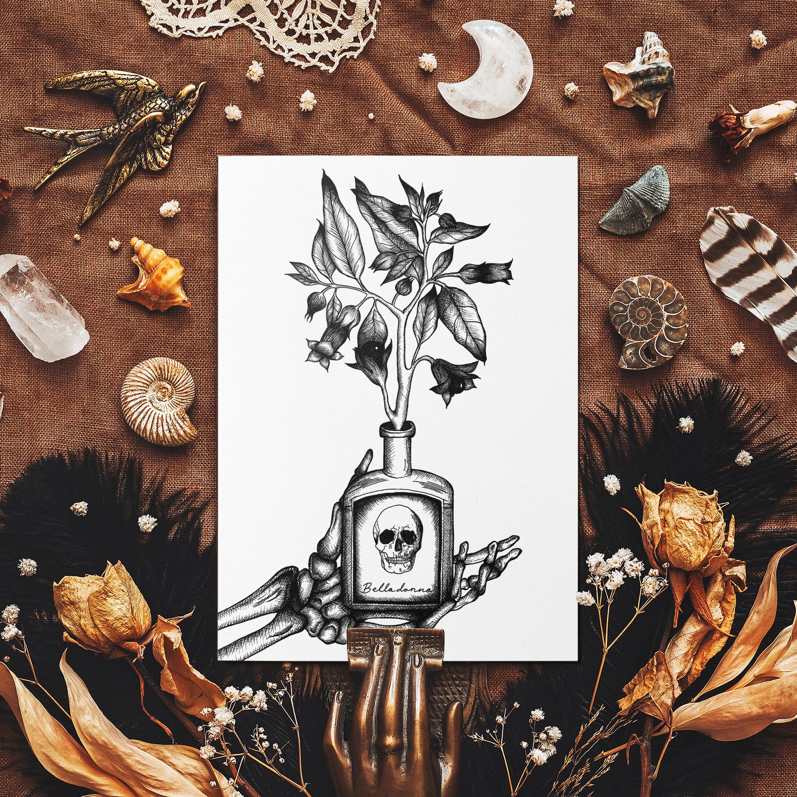 Belladonna - Mohawk Fine Art Postcard