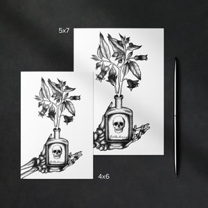Belladonna - Mohawk Fine Art Postcard