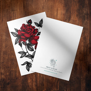 Bleeding Roses - Mohawk Fine Art Postcard