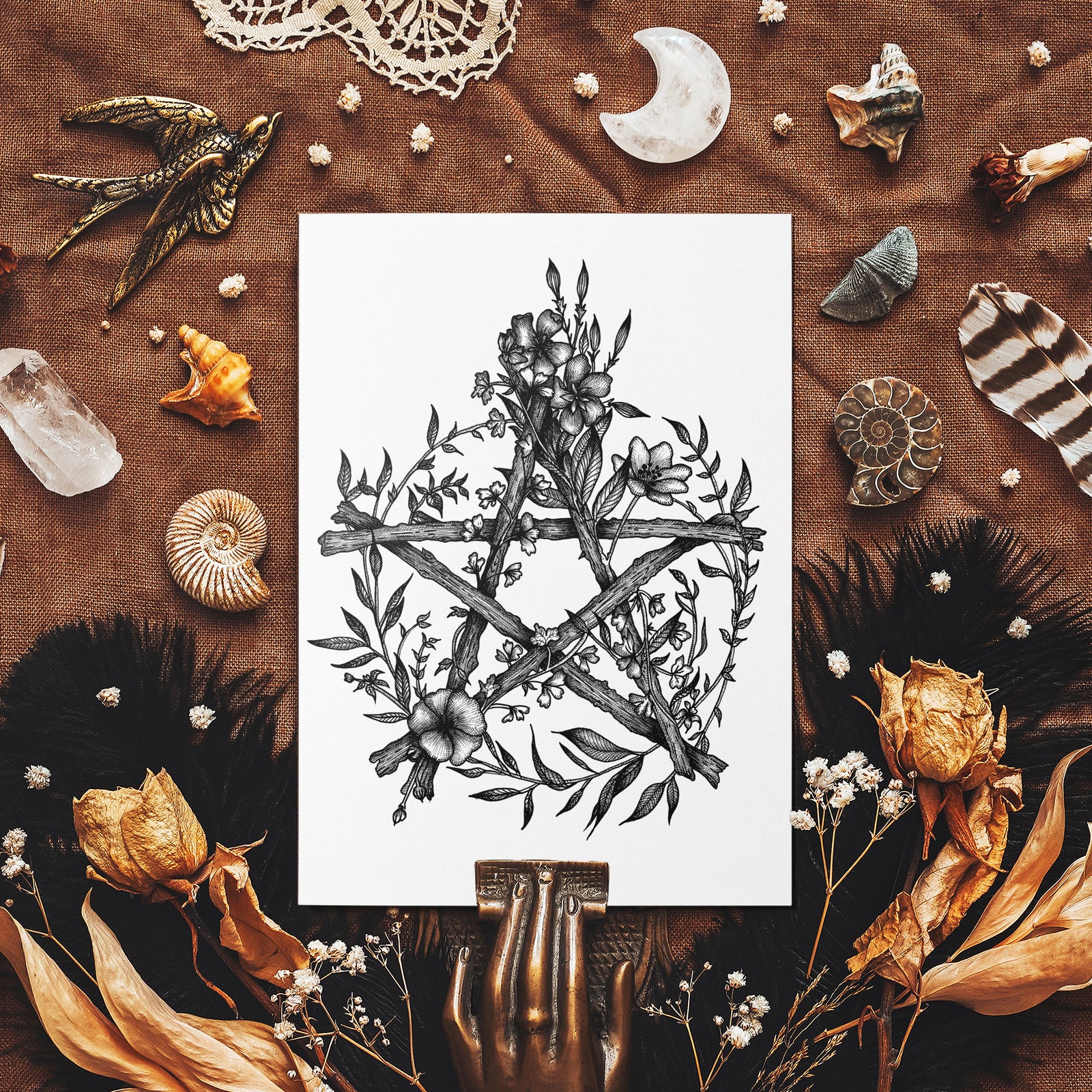 Floral Pentacle - Mohawk Fine Art Postcard