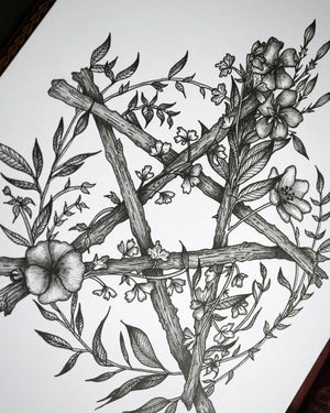Floral Pentacle - Original A4 Drawing