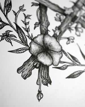 Floral Pentacle - Original A4 Drawing