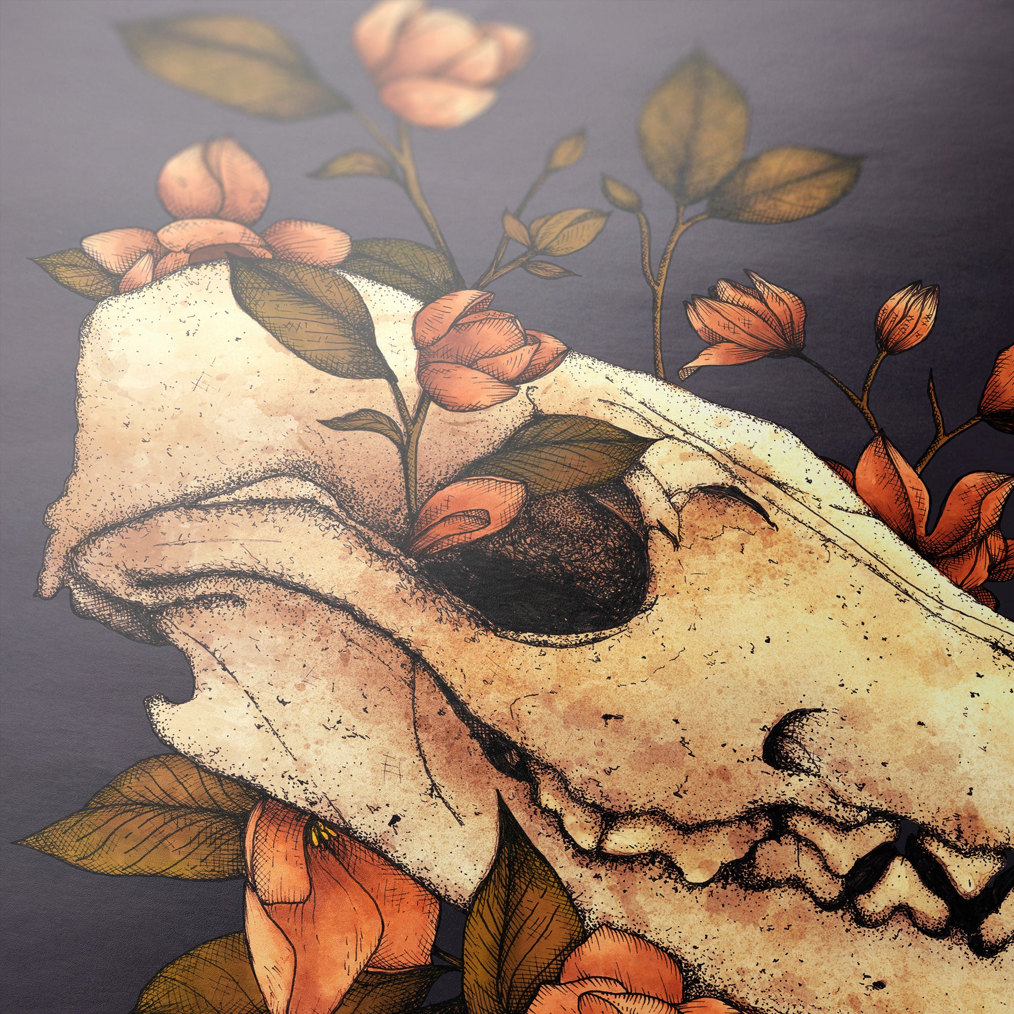 Fox Skull - Giclée Art Print - Print is Dead