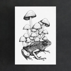 Frog and Mushrooms - Standard Art Print