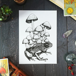 Frog and Mushrooms - Standard Art Print
