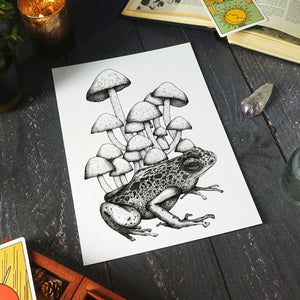 Frog and Mushrooms - Standard Art Print