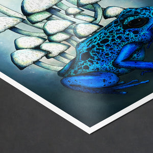 Frog and Mushrooms - Giclée Art Print