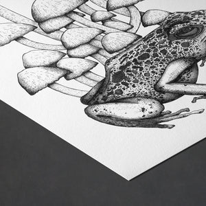 Frog and Mushrooms - Giclée Art Print