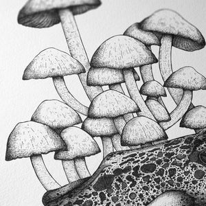 Frog and Mushrooms - Giclée Art Print