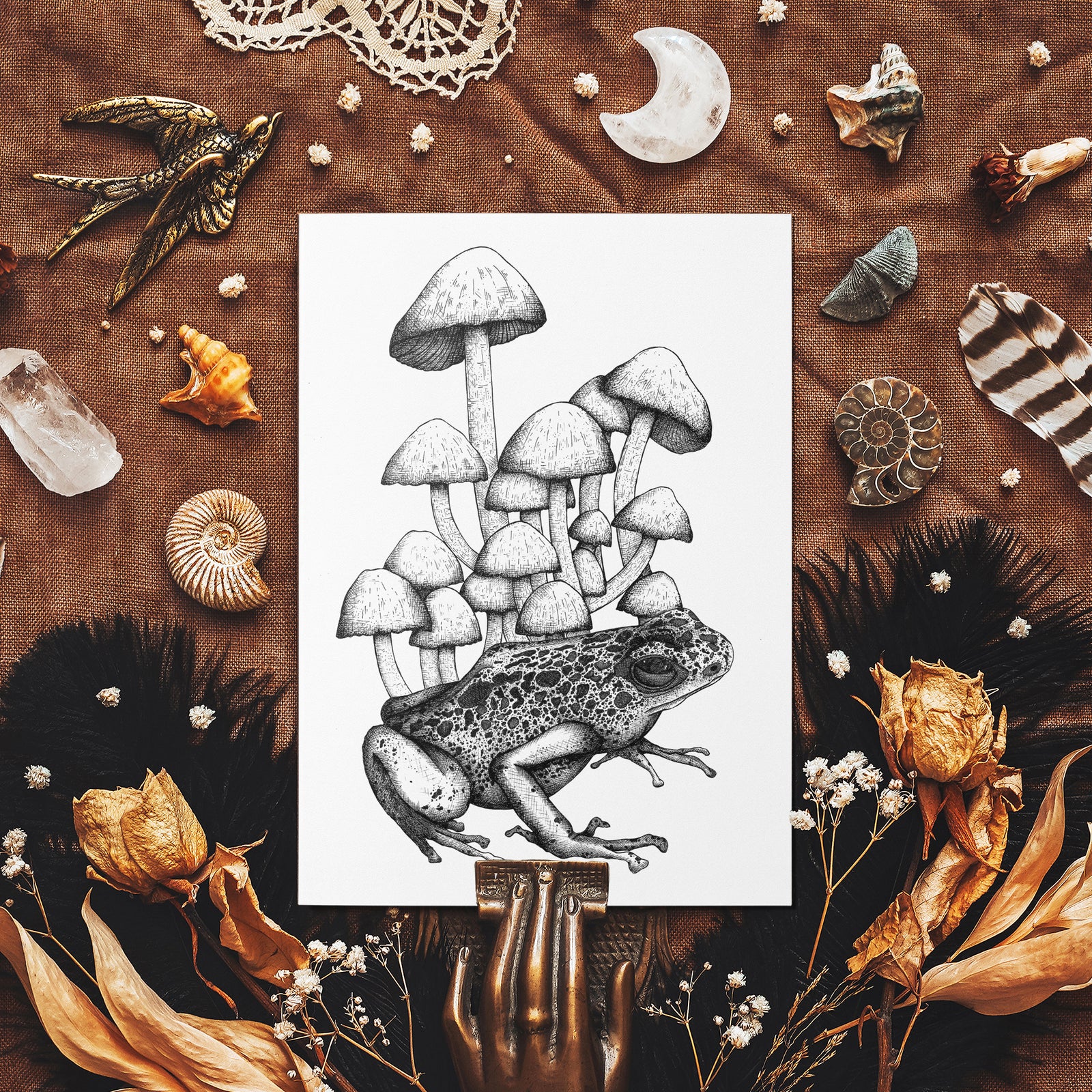 Frog and Mushrooms - Mohawk Fine Art Postcard