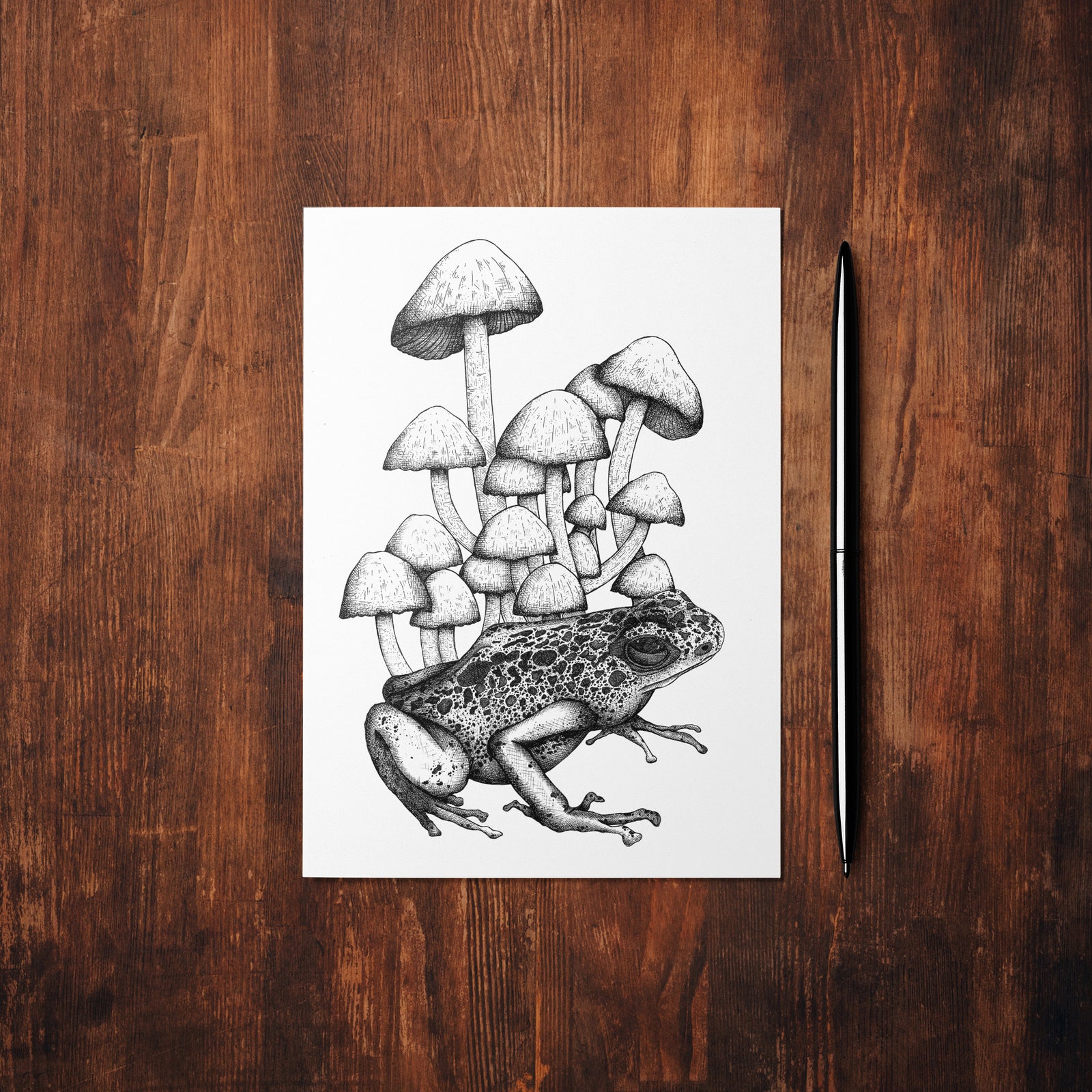 Frog and Mushrooms - Mohawk Fine Art Postcard