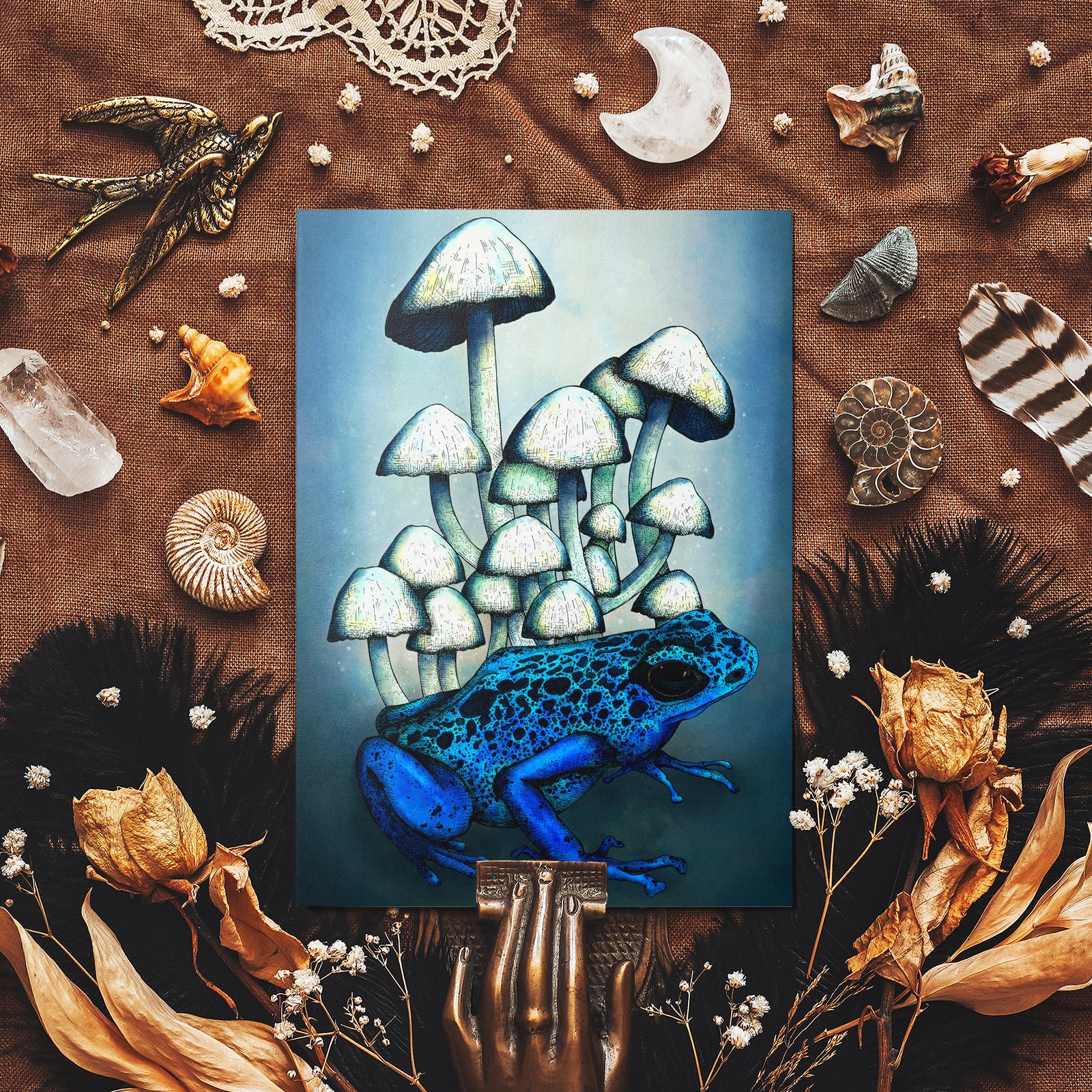 Frog and Mushrooms - Glossy Fine Art Postcard