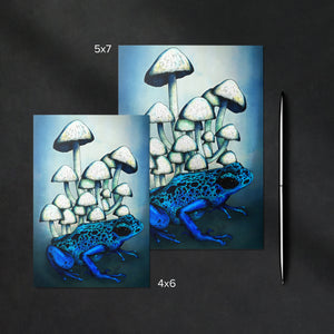 Frog and Mushrooms - Glossy Fine Art Postcard