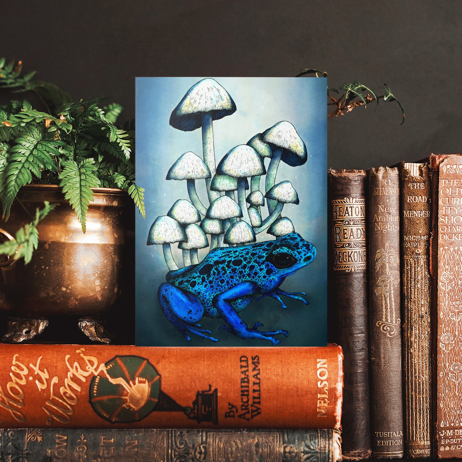 Frog and Mushrooms - Greeting Card