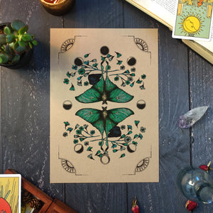 Luna Moth - Kraft Art Print