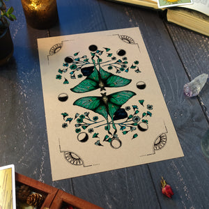 Luna Moth - Kraft Art Print