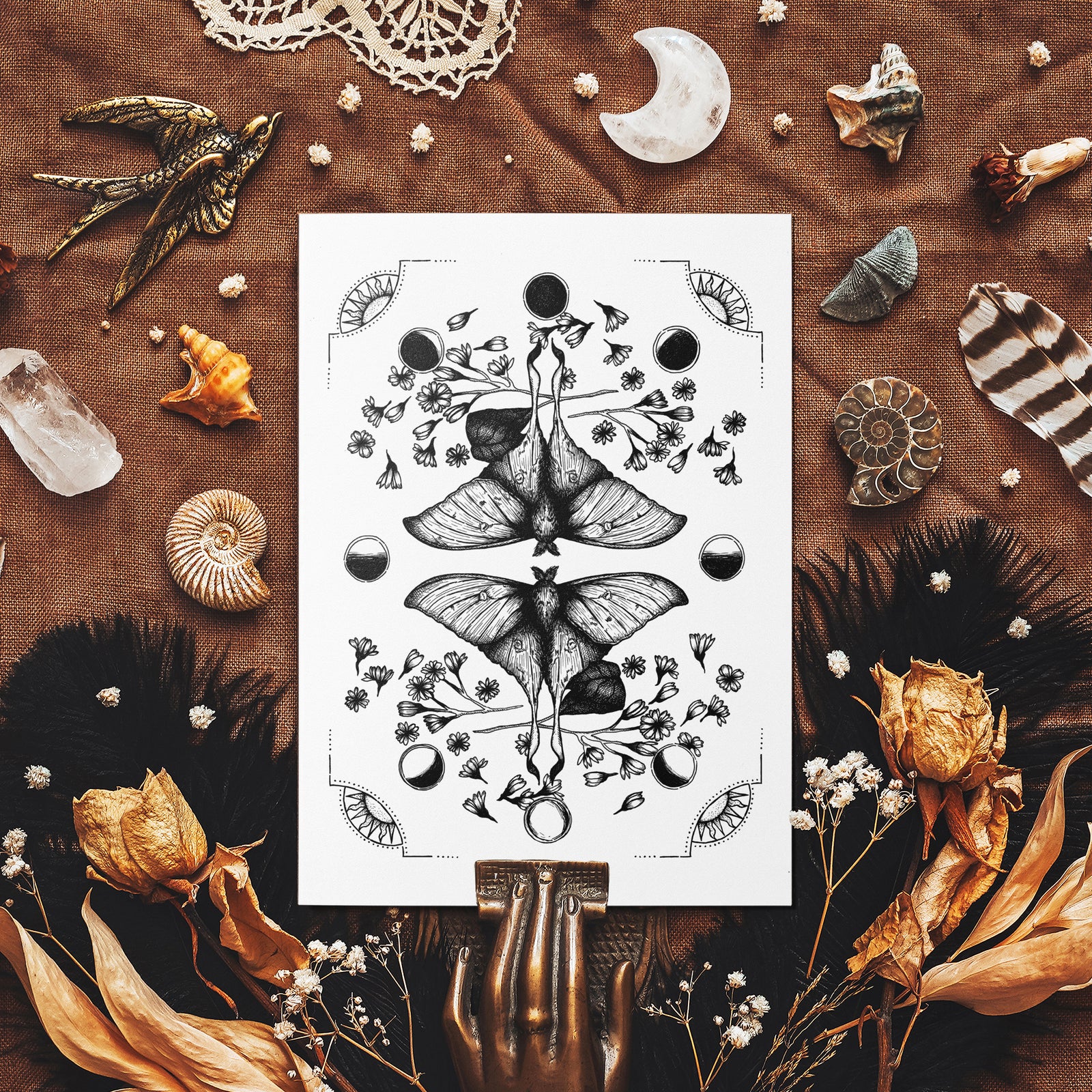 Luna Moth - Mohawk Fine Art Postcard