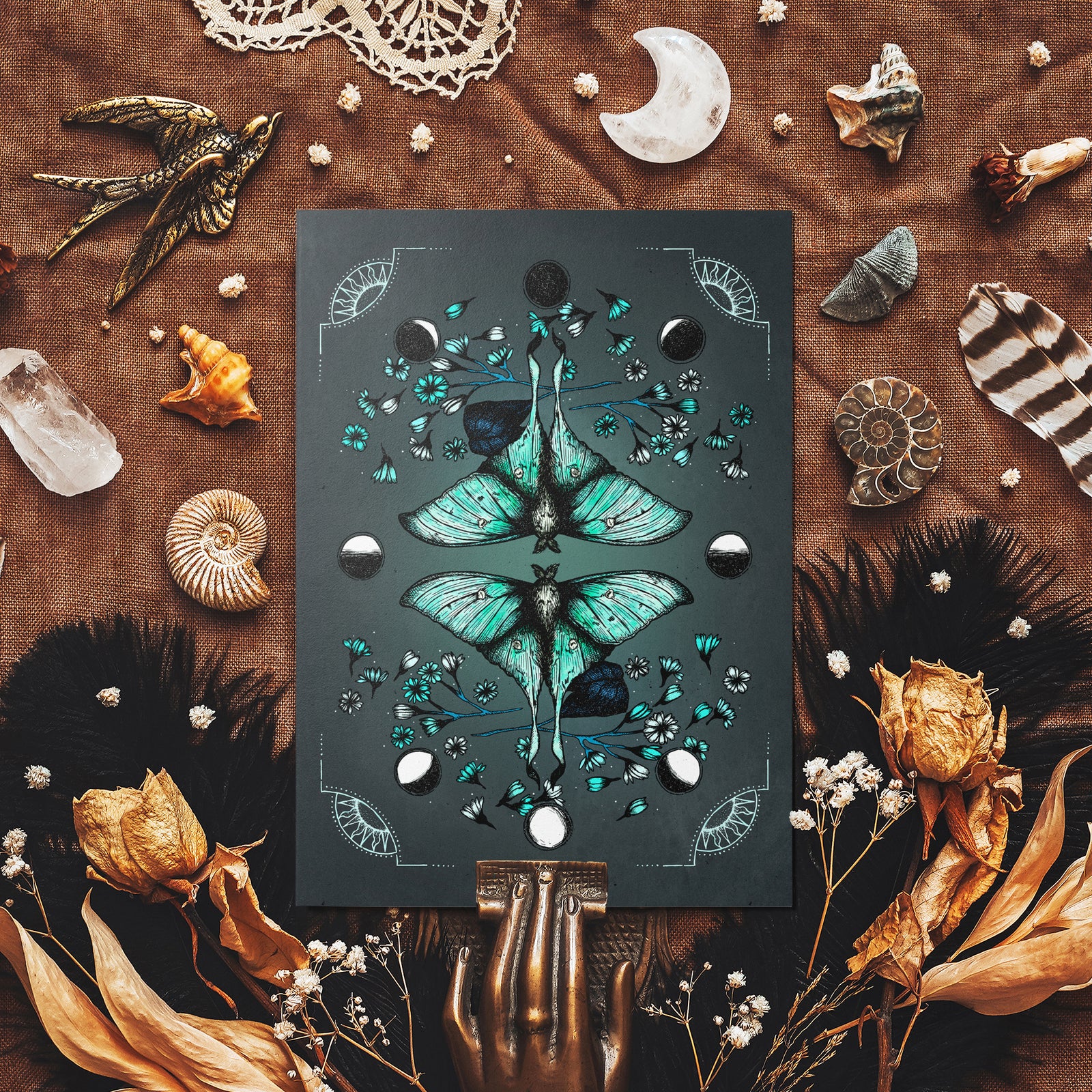 Luna Moth - Glossy Fine Art Postcard