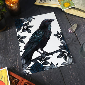 Raven and Roses - Standard Art Print