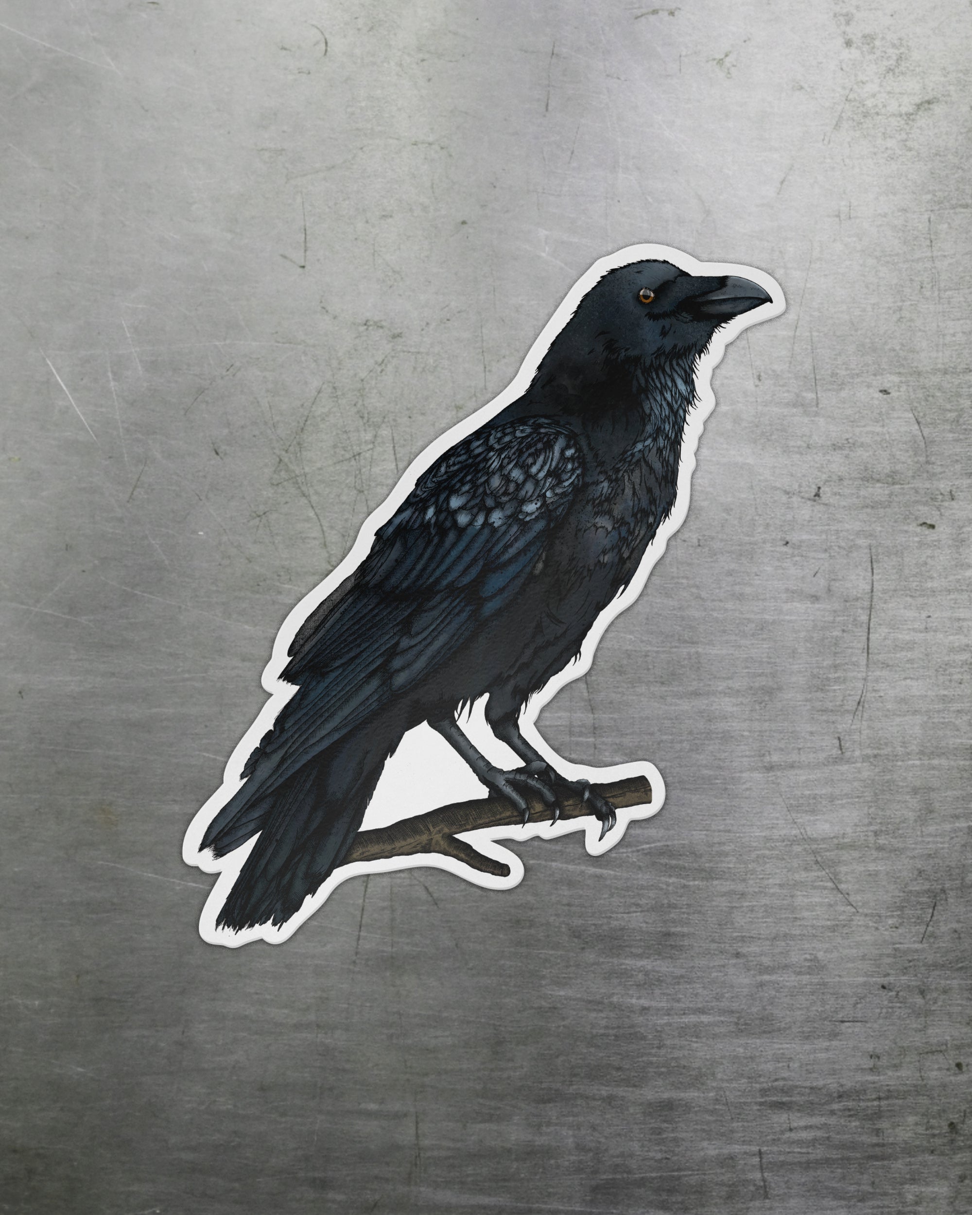 Raven - Magnet