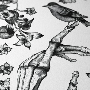 Skeleton and Sparrow - Giclée Art Print