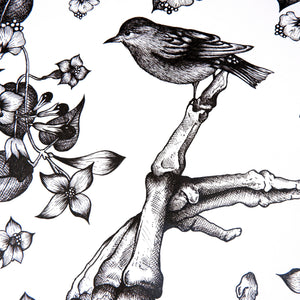 Skeleton and Sparrow - Standard Art Print