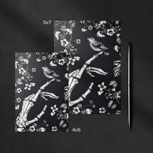 Skeleton and Sparrow - Glossy Fine Art Postcard
