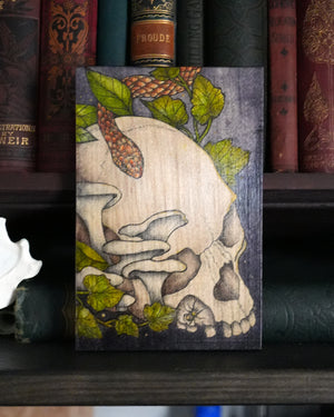 Skull and Snake Original Wood Art