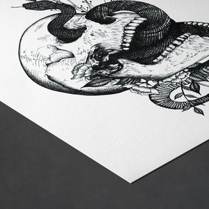 Snake and Skull - Giclée Art Print