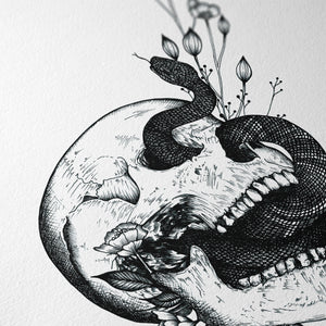 Snake and Skull - Giclée Art Print