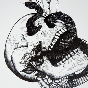 Snake and Skull - Standard Art Print