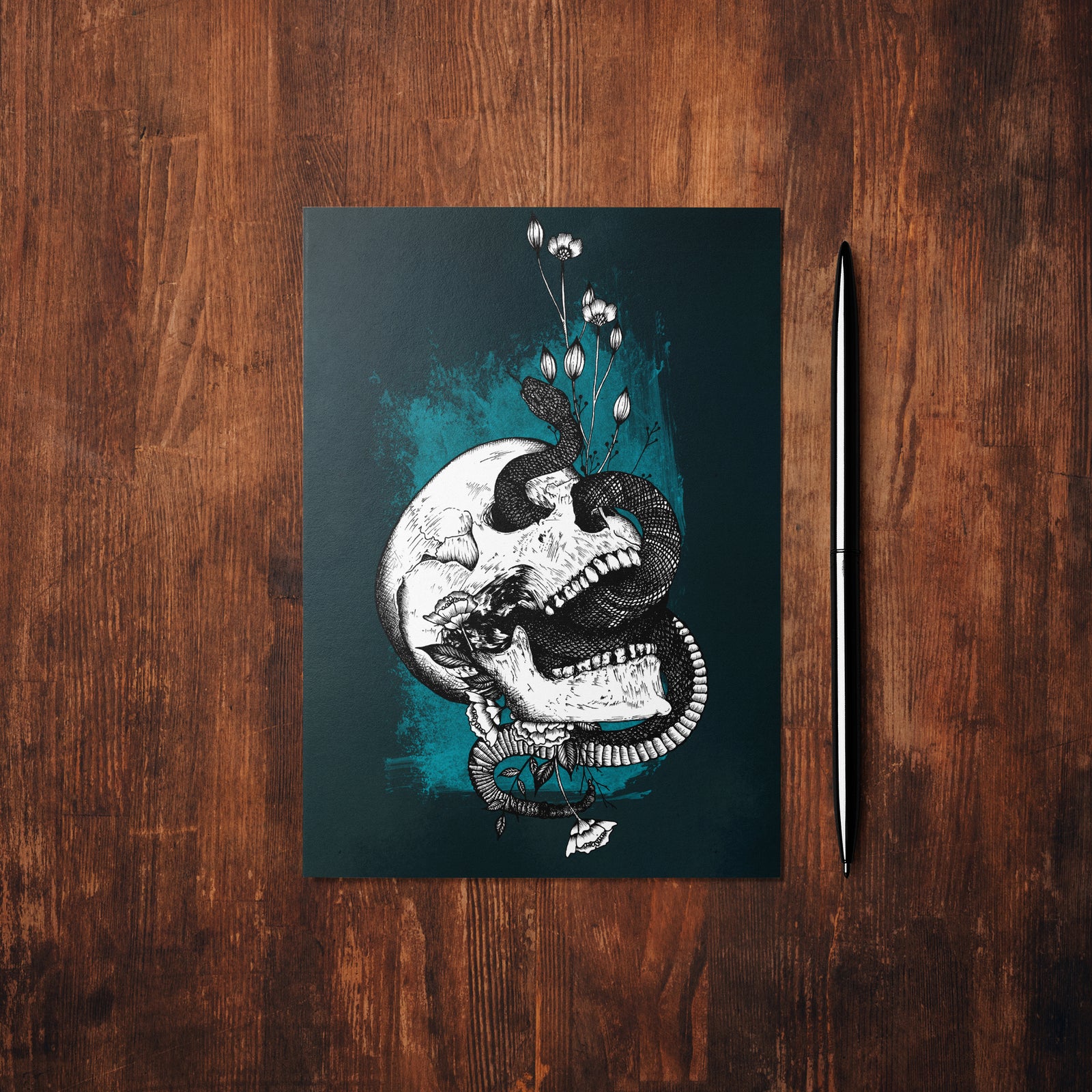 Snake and Skull - Glossy Fine Art Postcard