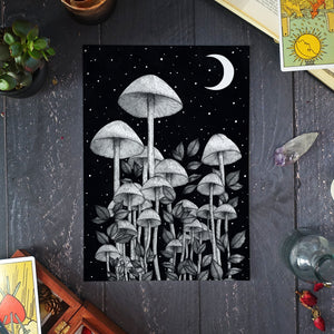 Star Mushrooms - Standard Art Print