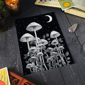 Star Mushrooms - Standard Art Print