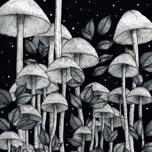 Star Mushrooms - Standard Art Print