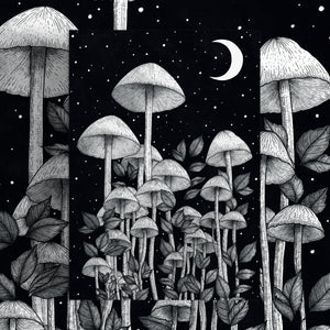 Star Mushrooms - Standard Art Print