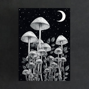 Star Mushrooms - Standard Art Print