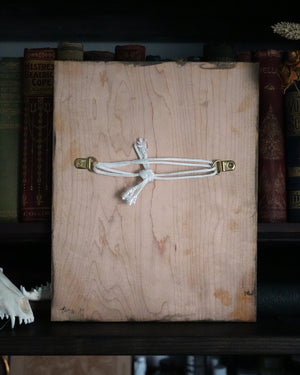 Tentacle Anchor Original Wood Art