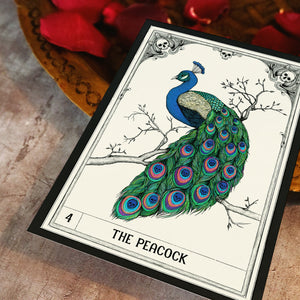Morteria #4 - The Peacock Mini Print