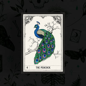 Morteria #4 - The Peacock Mini Print