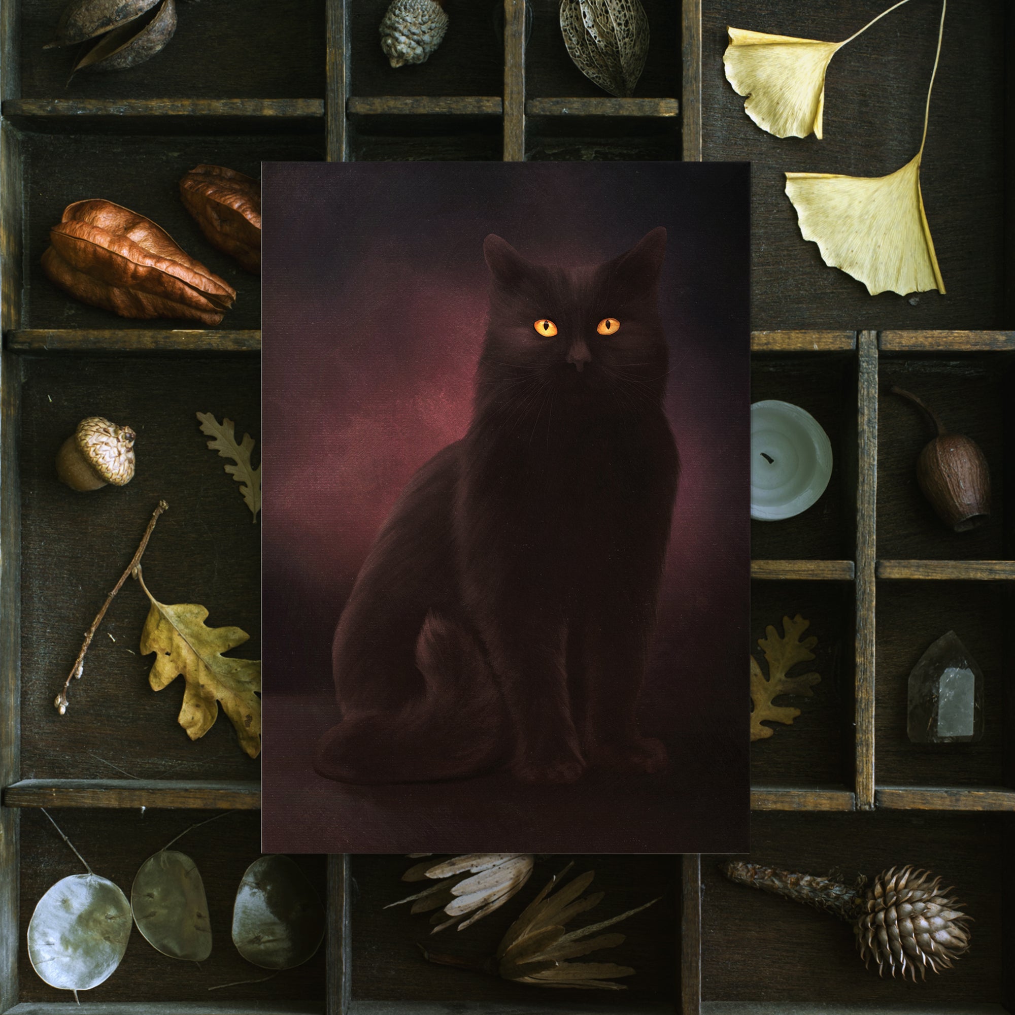 Black Shadow Cat - Postcard Mini Print