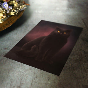 Black Shadow Cat - Postcard Mini Print