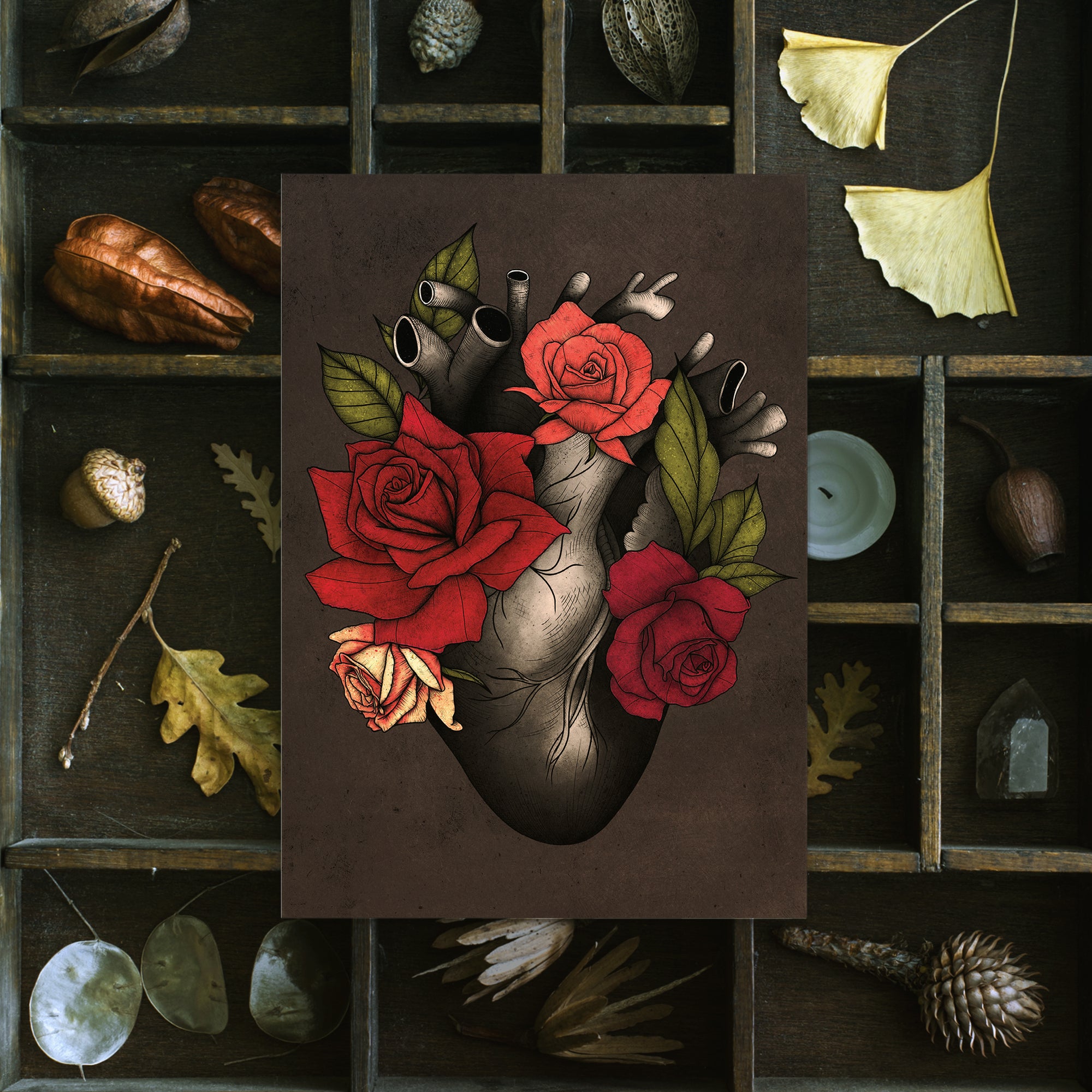 Black Heart and Roses - Postcard Mini Print